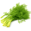 Brins d'aneth