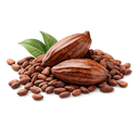 Poudre de cacao