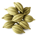 Cardamome moulue