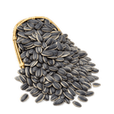 Graines de tournesol grillées