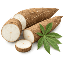 Manioc
