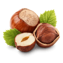 G Poudre de noisette