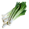 Blanc de poireau,