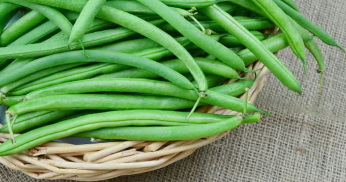 Astuces pour bien conserver ses haricots verts.