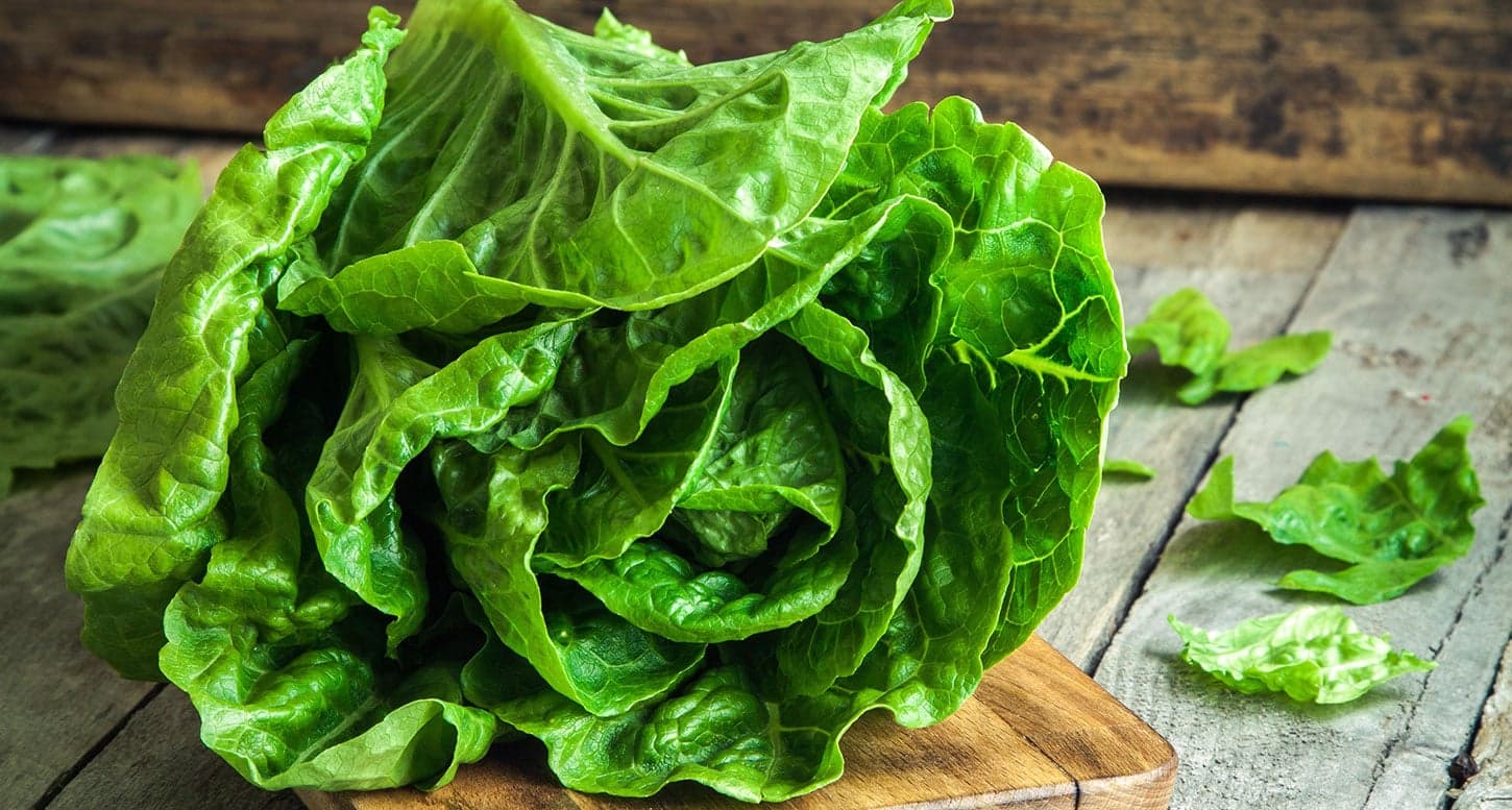 Comment conserver la salade ?