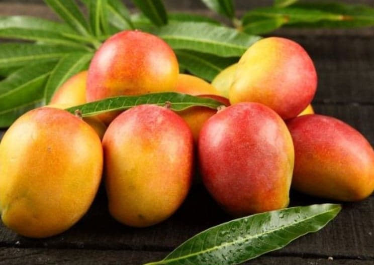 Comment choisir et conserver la mangue fraîche ?