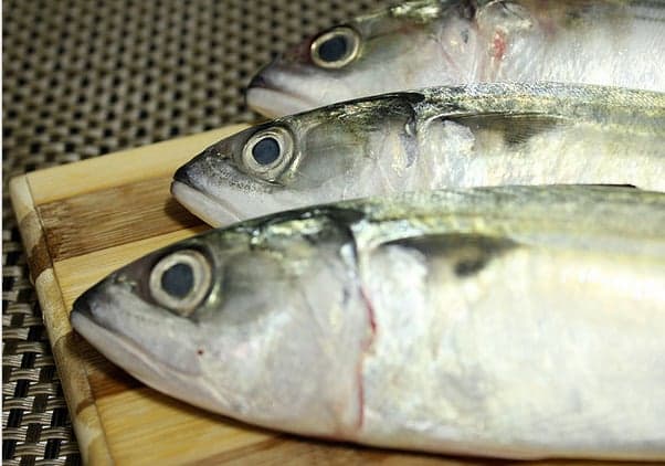 Comment reconnaître le poisson frais du poisson pourri  ?