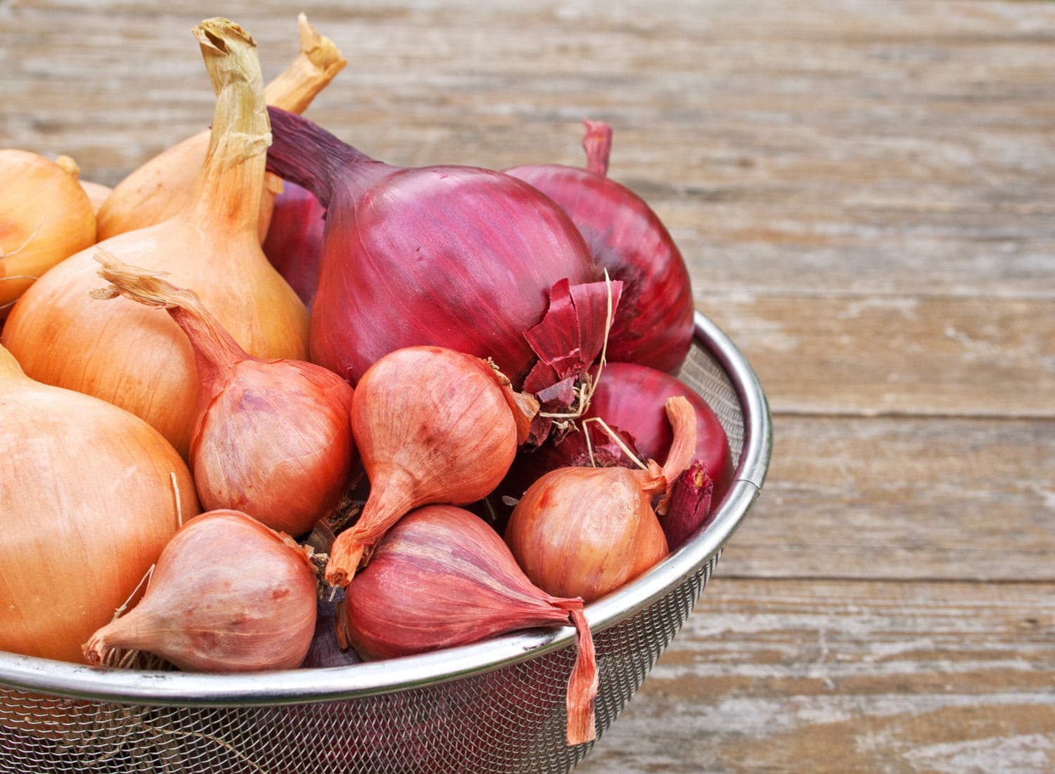 Conseils à suivre pour conserver ses oignons plus longtemps