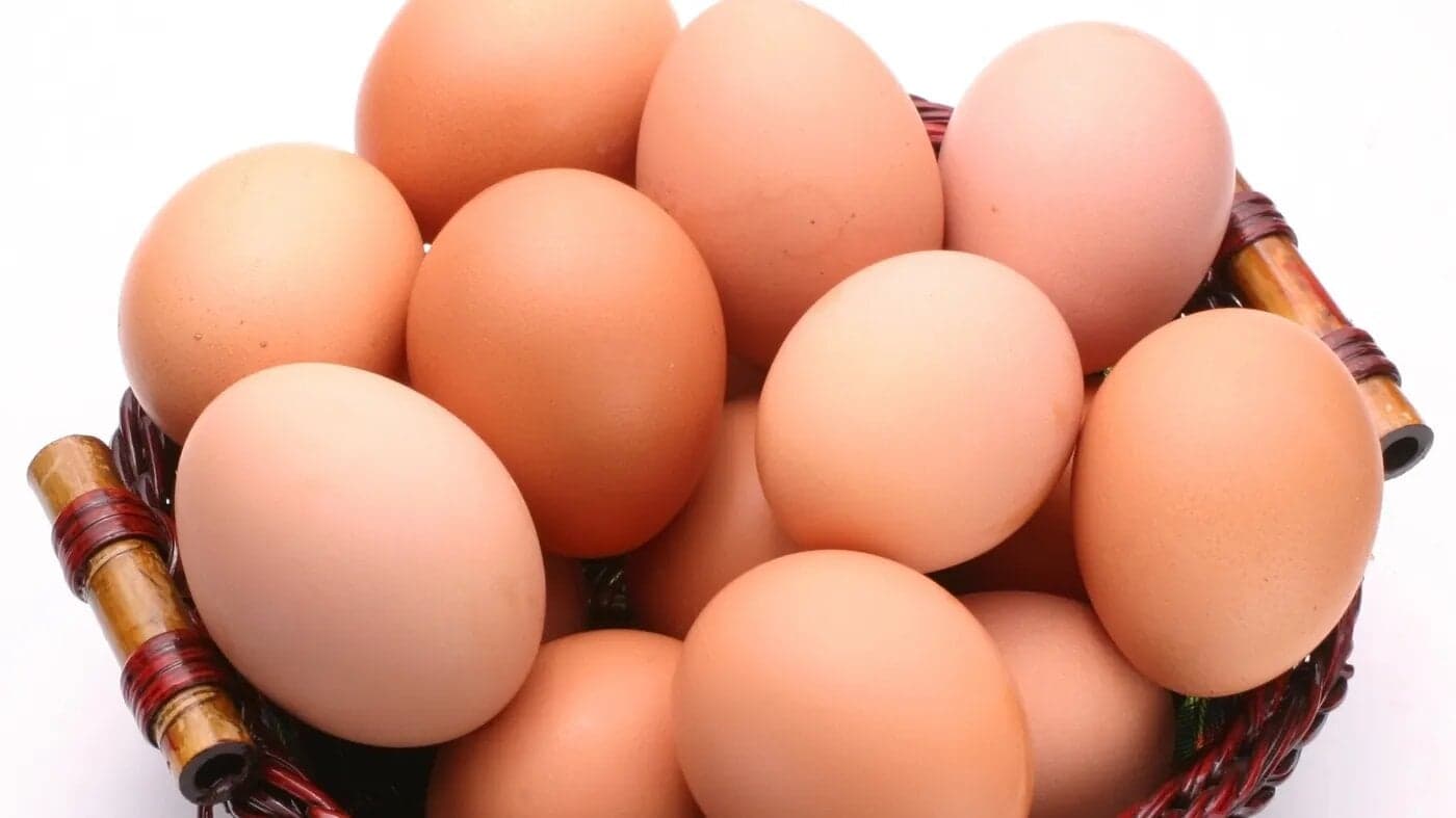 Comment reconnaître un œuf frais ?