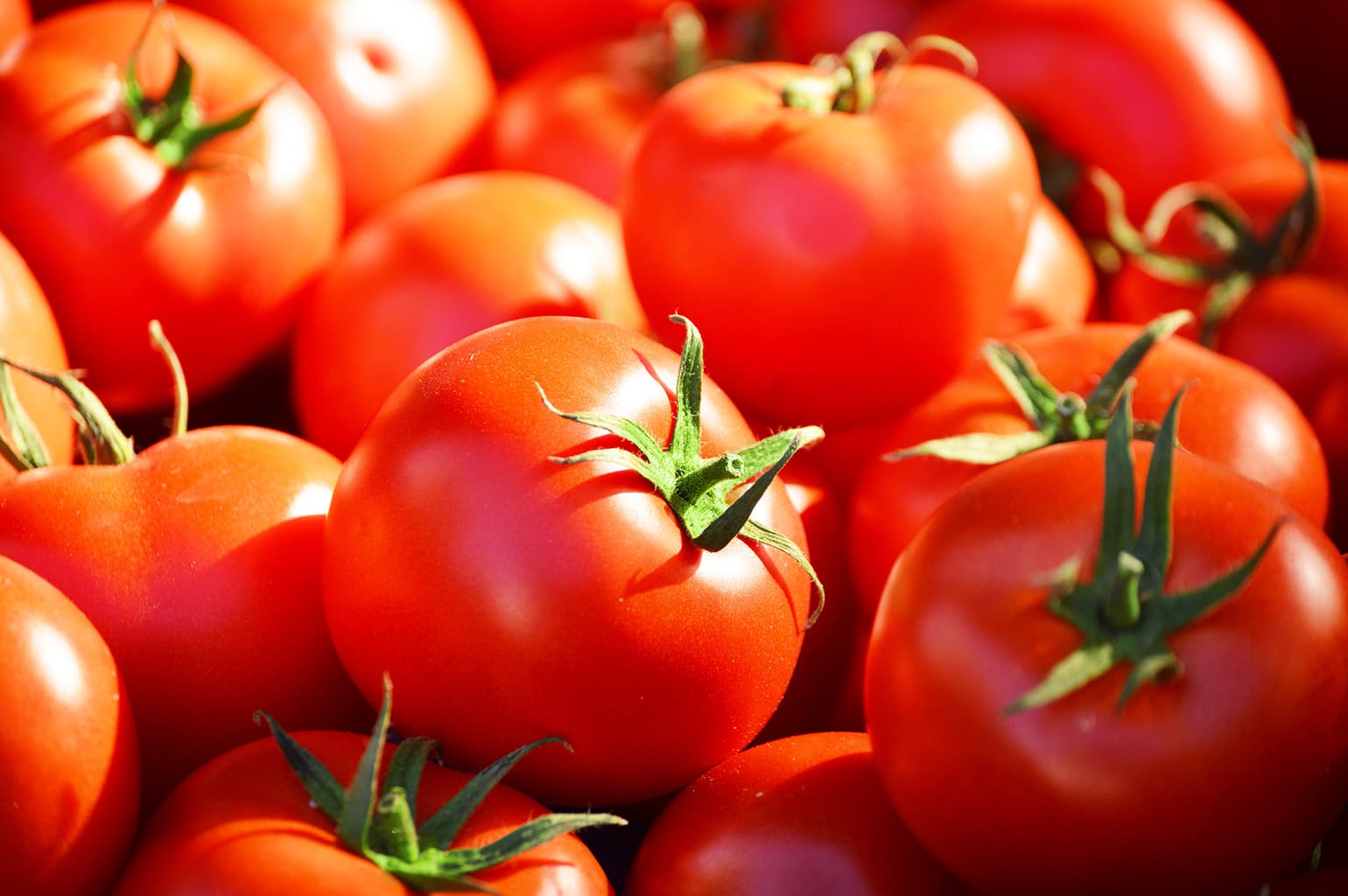 Des astuces pour conserver le plus longtemps vos tomates