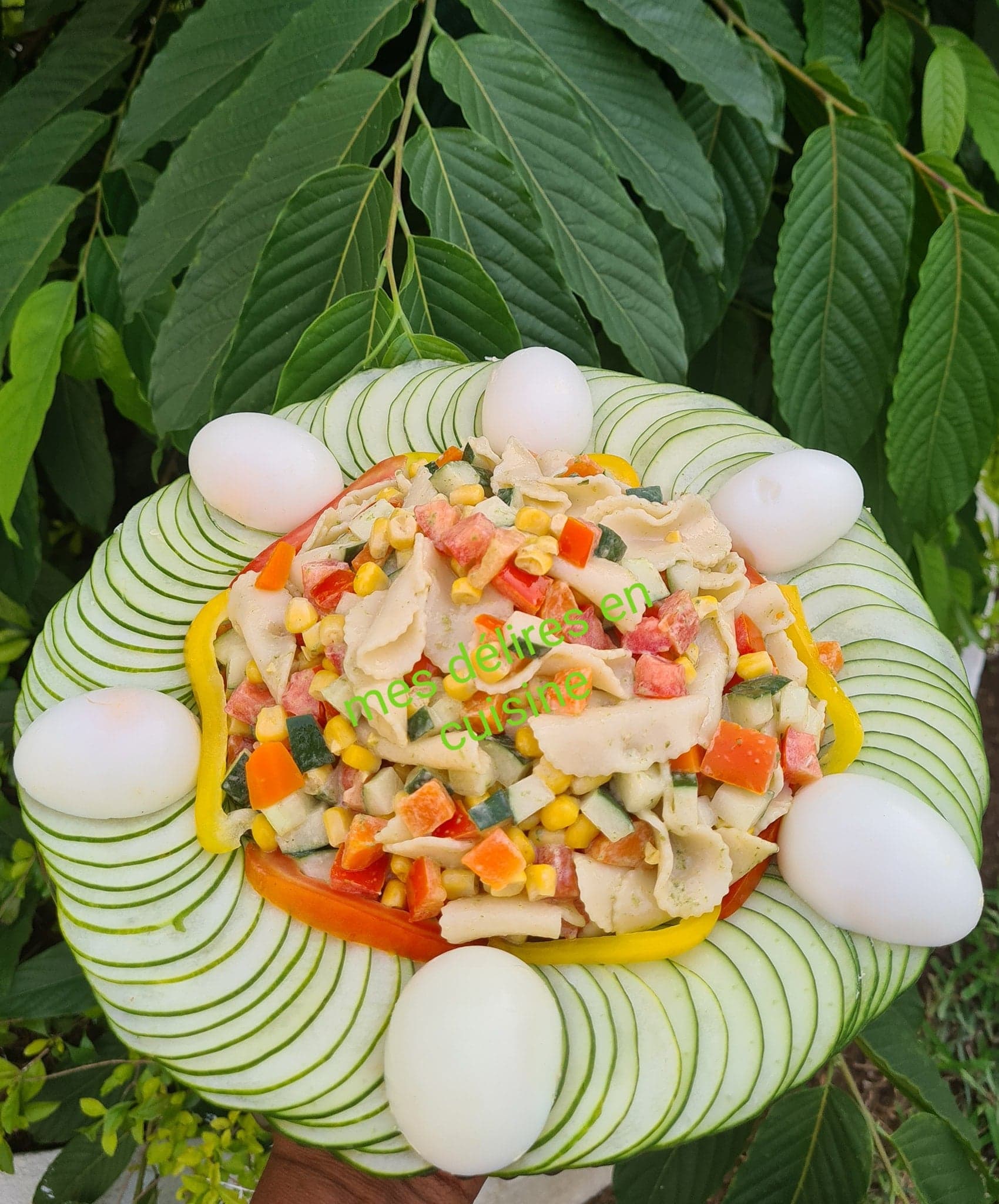 Salade de pâtes aux légumes by lolo
