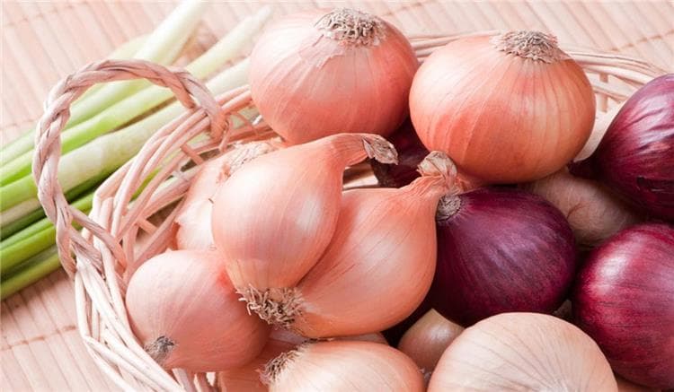 Comment conserver ses oignons le plus longtemps possible sans les abîmer
