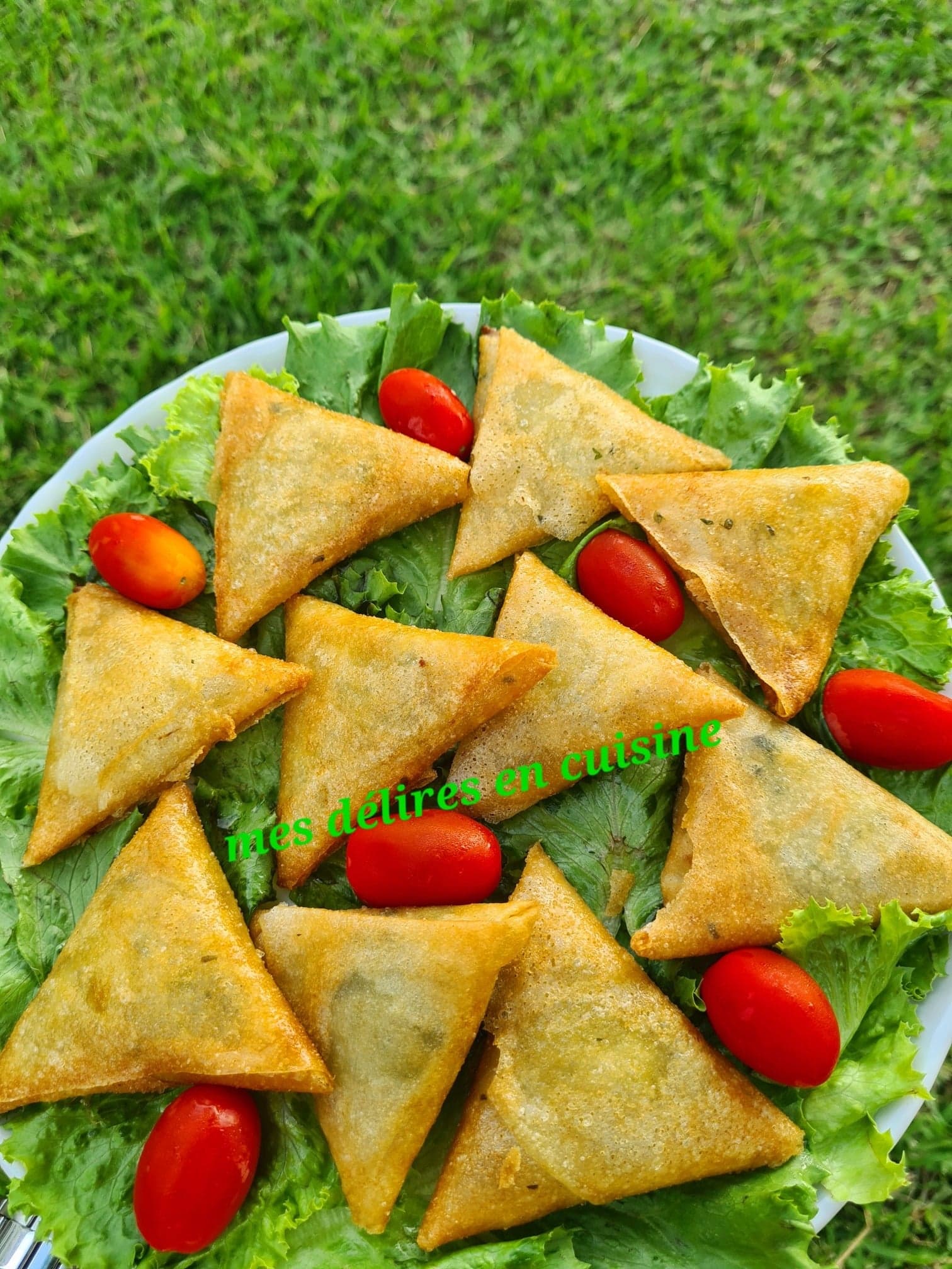 Samoussas au poulet by lolo