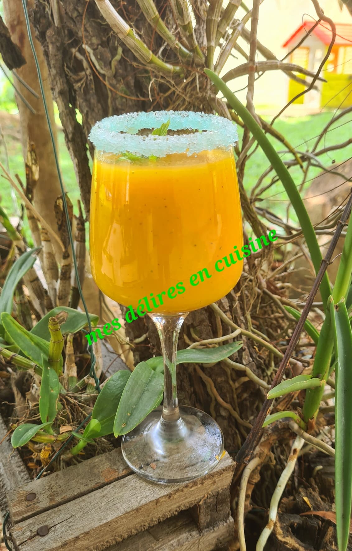 Jus de passion à la papaye.