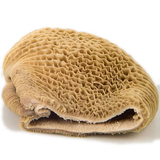 Astuces pour éviter les odeurs fortes des tripes