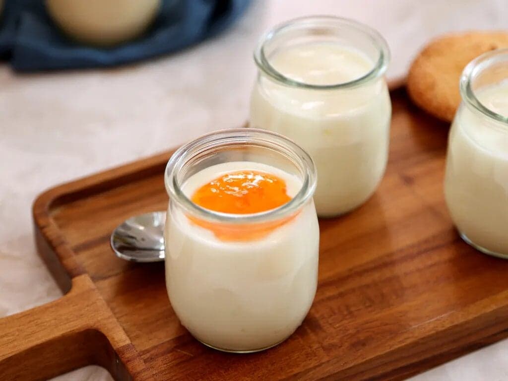 Comment faire du yaourt avec du lait en poudre