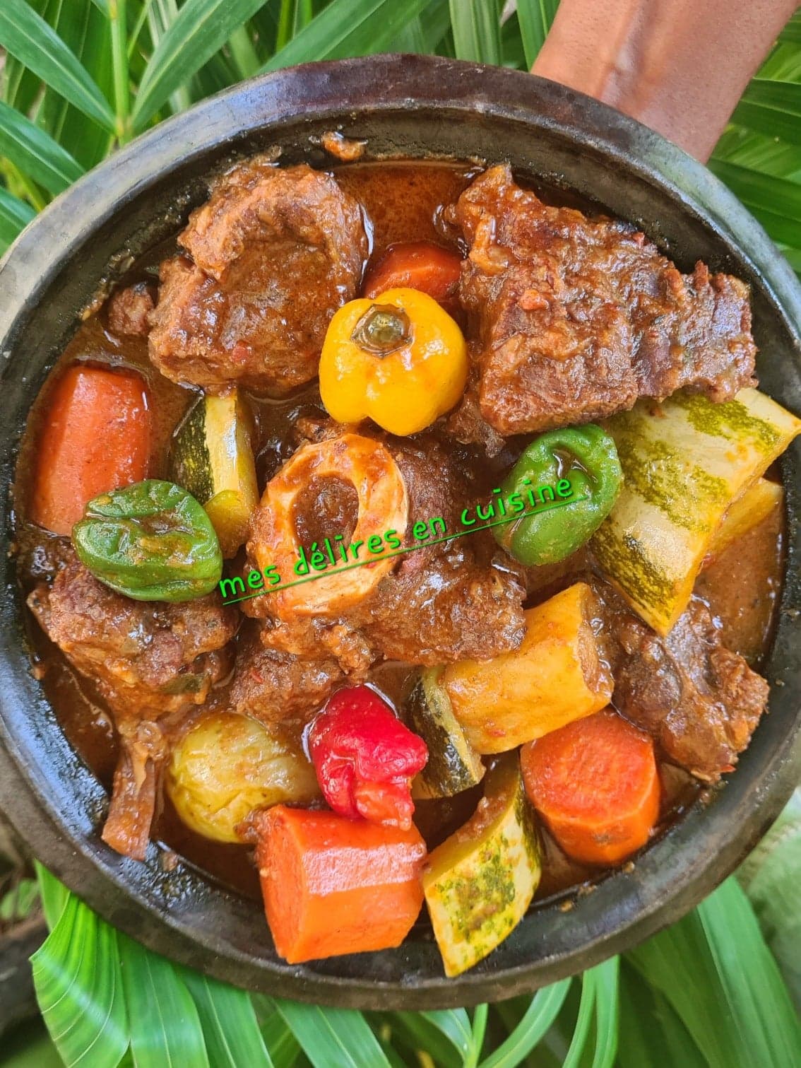 Boeuf à la tomate et légumes