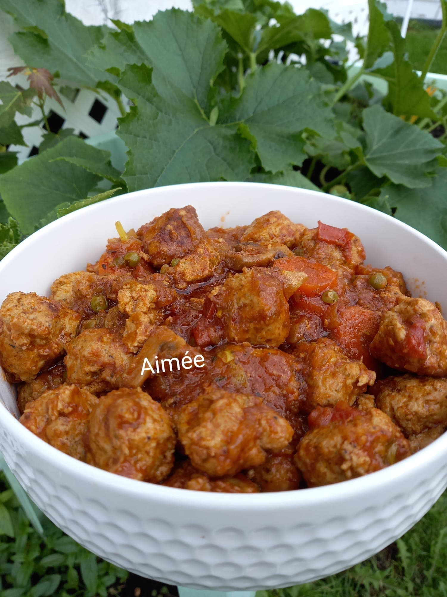 Savoureuses boulettes de poulet