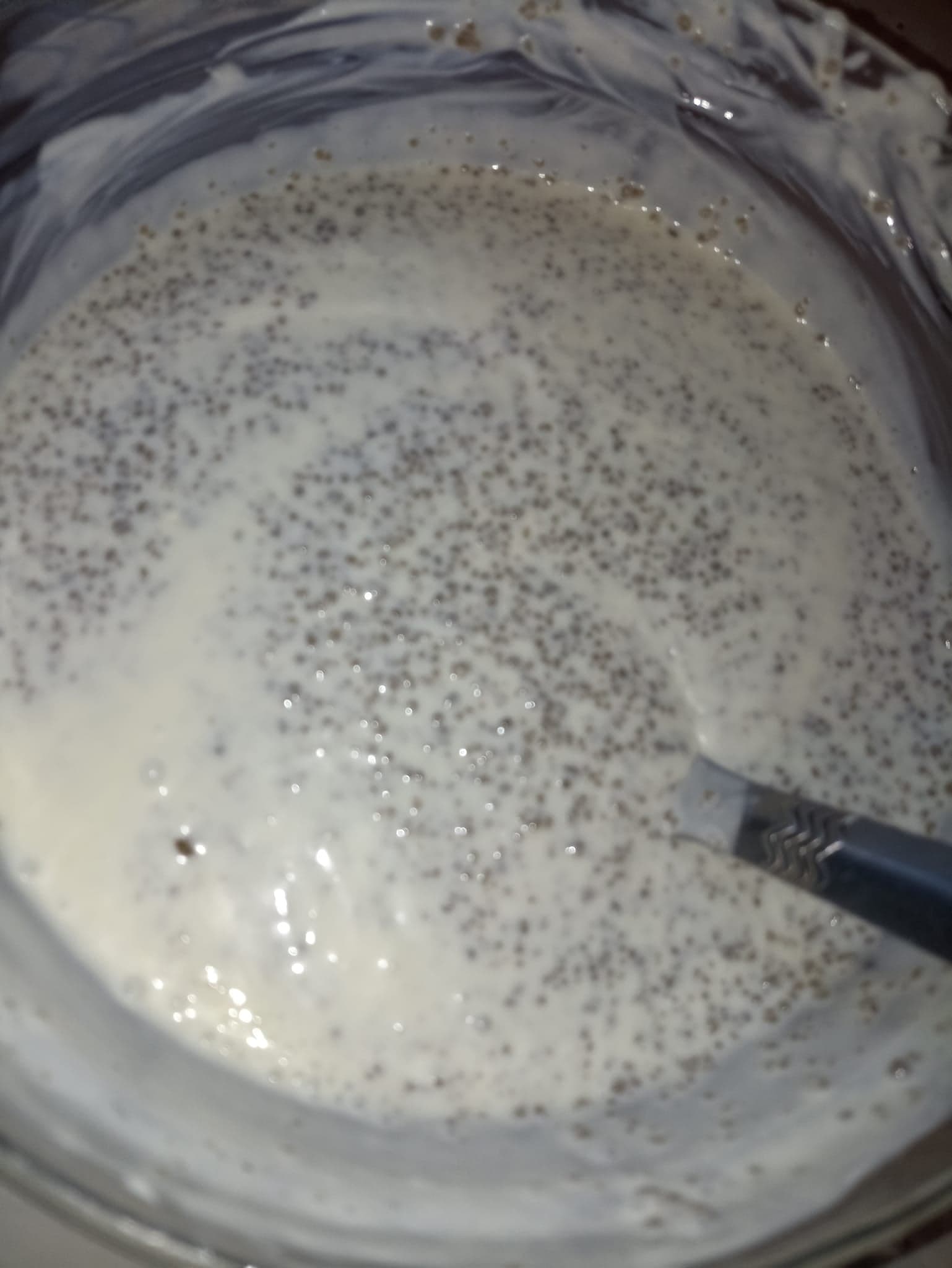 Dégué (couscous de mil) fais maison