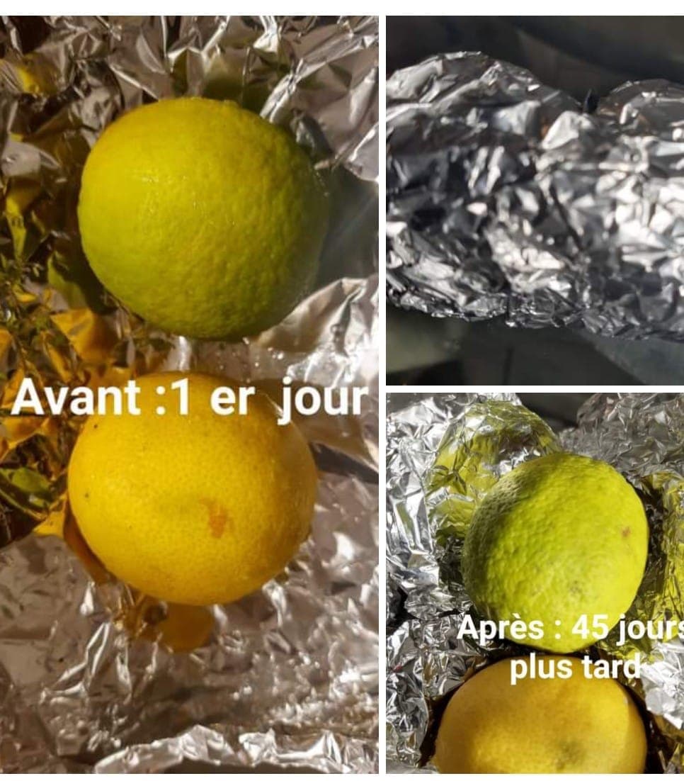 Astuce pour garder plus longtemps son citron testée et approuvée