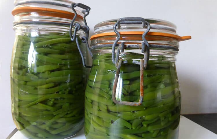 Techniques de conservation du haricot vert dans les bocaux