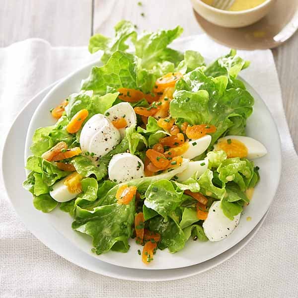 Conservation de la salade : astuces fraîcheur