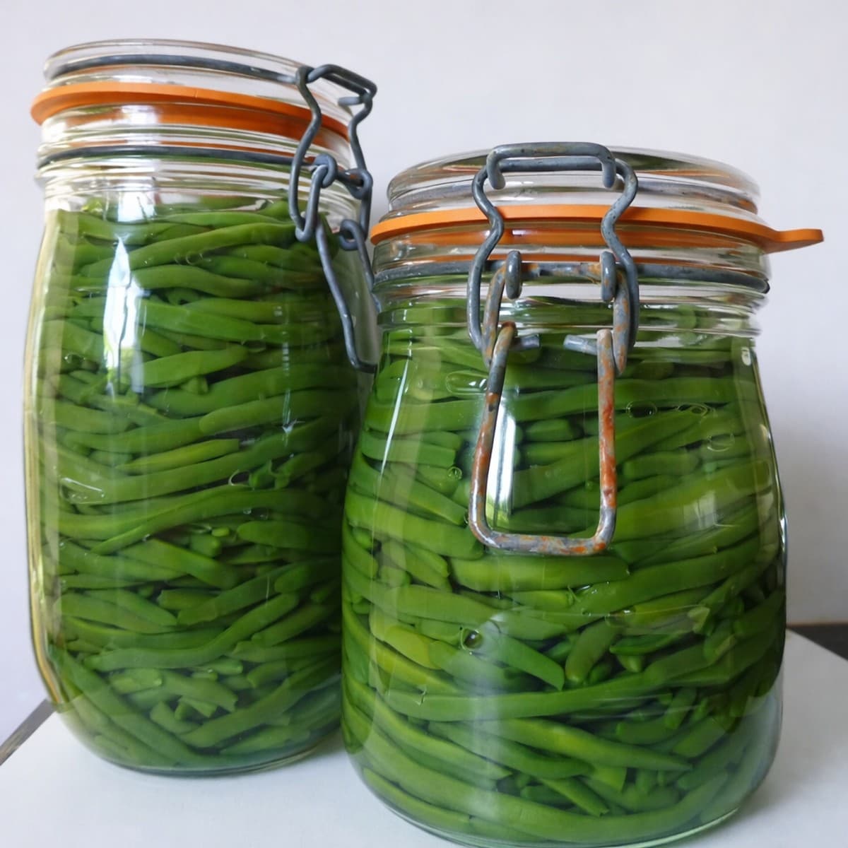Techniques de conservation du haricot vert dans les bocaux