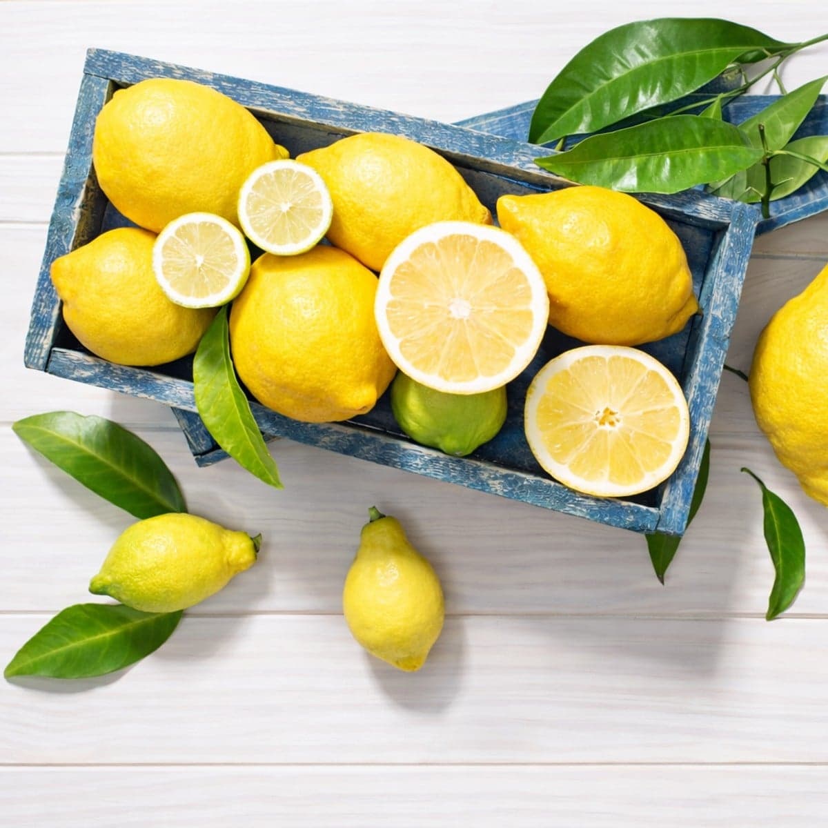 Comment conserver des citrons pendant plus de 3 mois