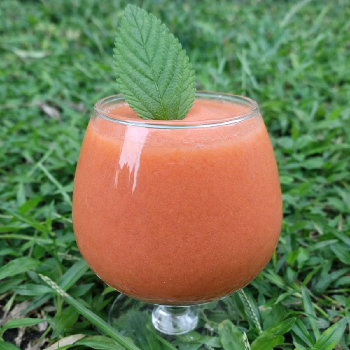 Smoothie de papaye