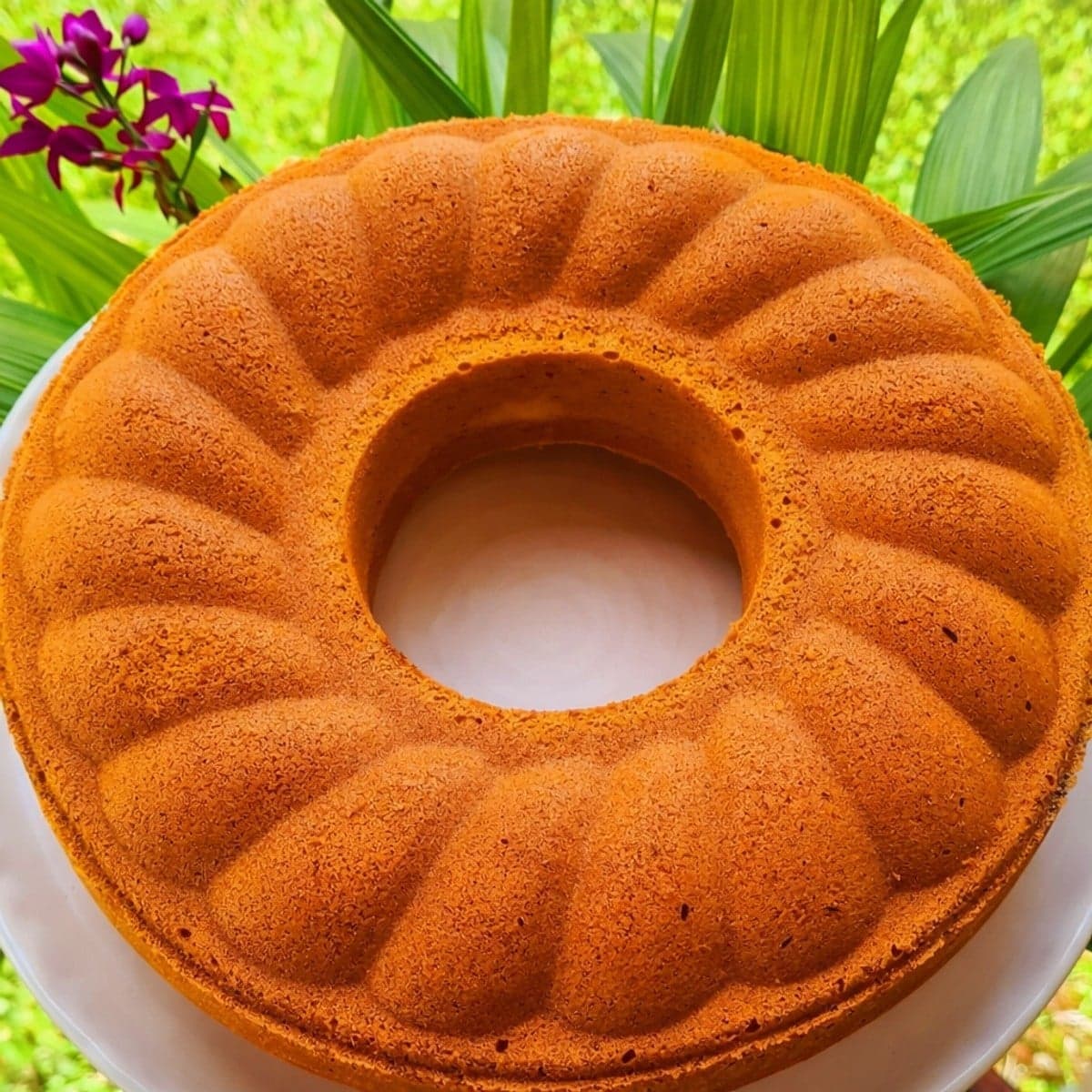 Gâteau au yaourt et à la vanille by lolo