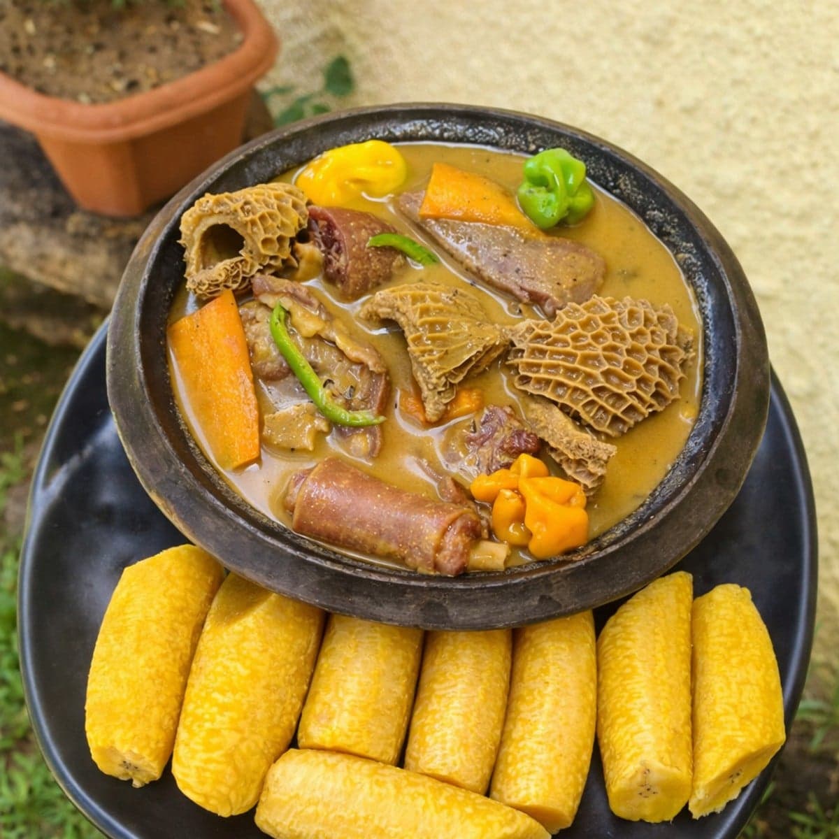 Pèpè soupe de queue et tripes de boeuf