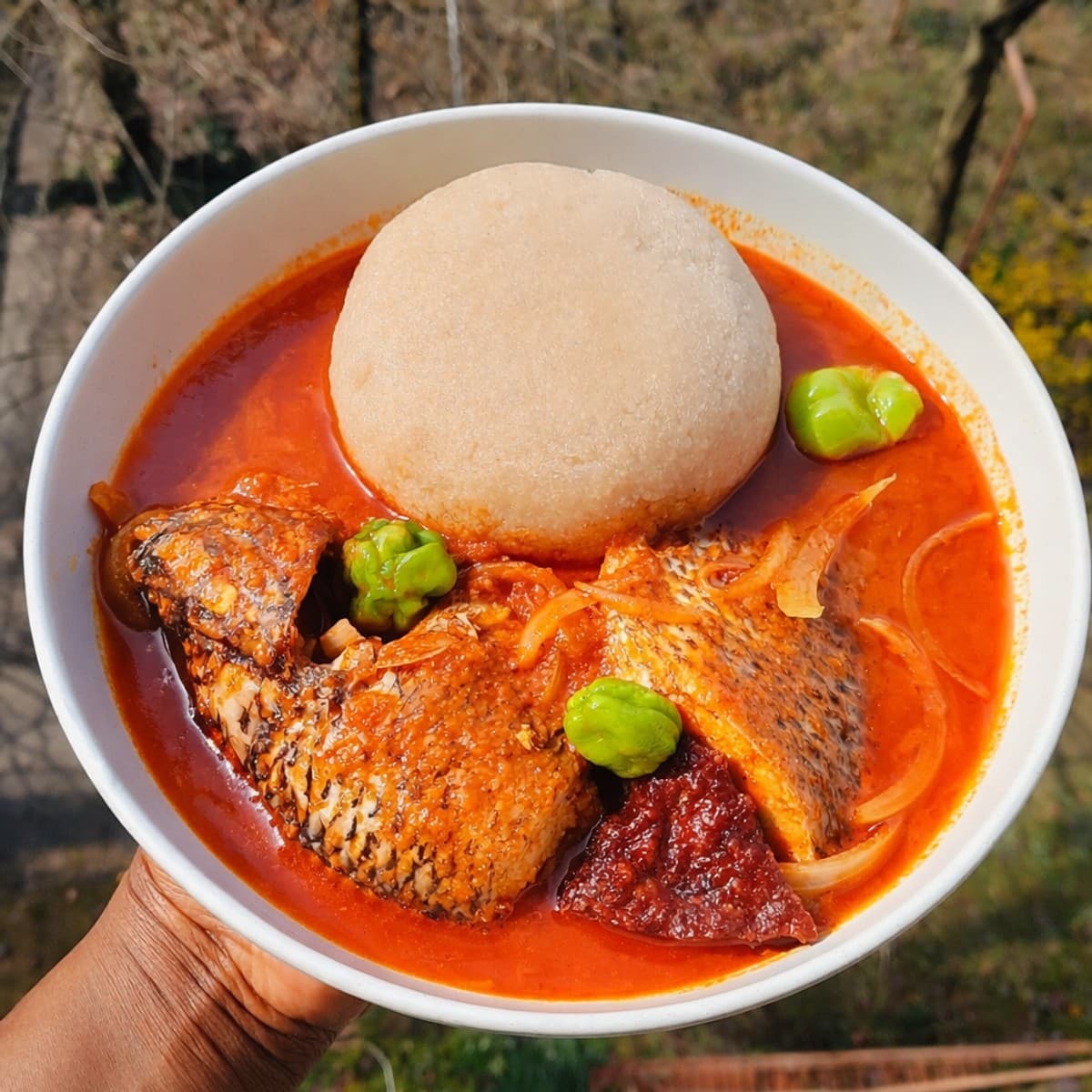 Poisson frais à la sauce tomate