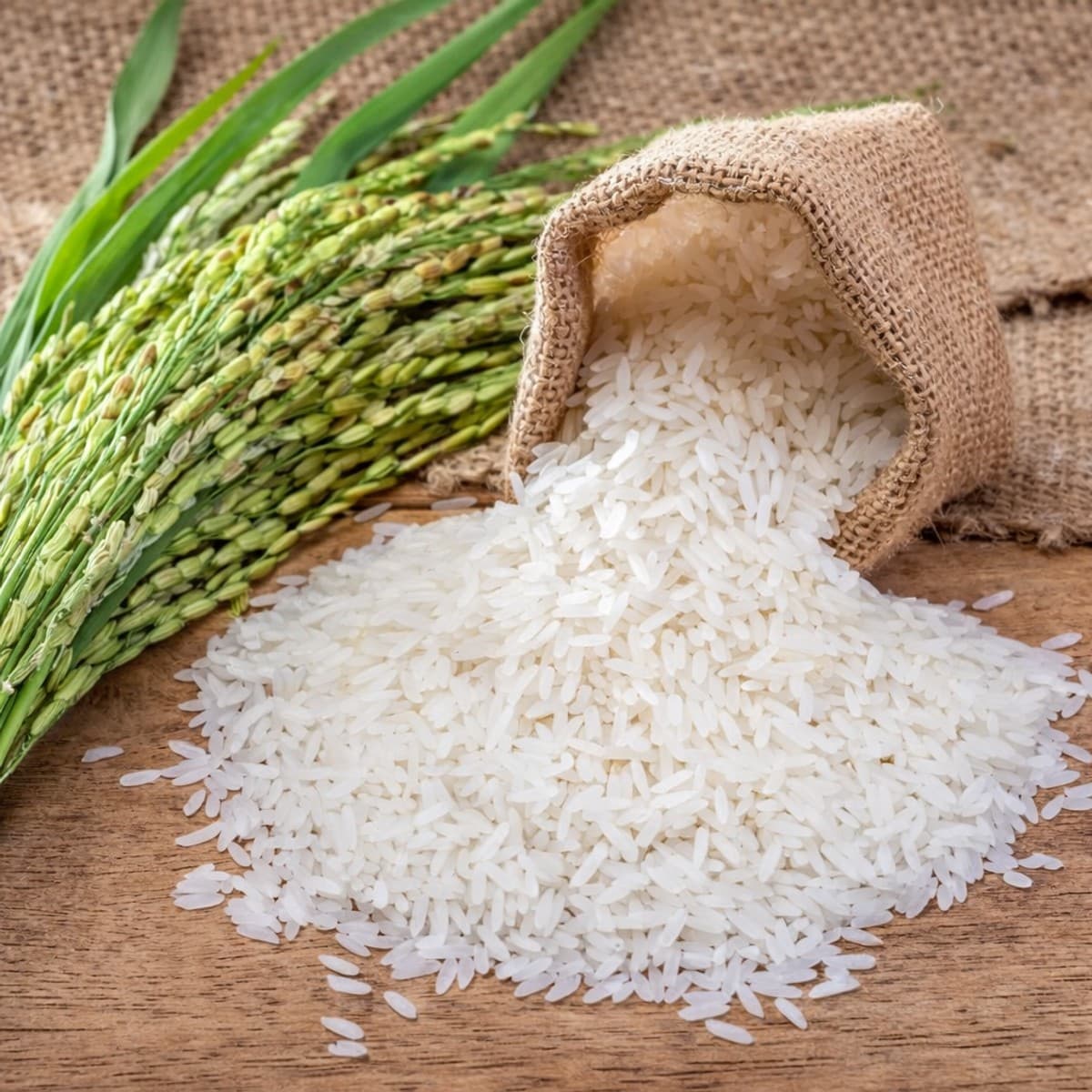 Pourquoi faut-il rincer le riz avant de le cuire ?