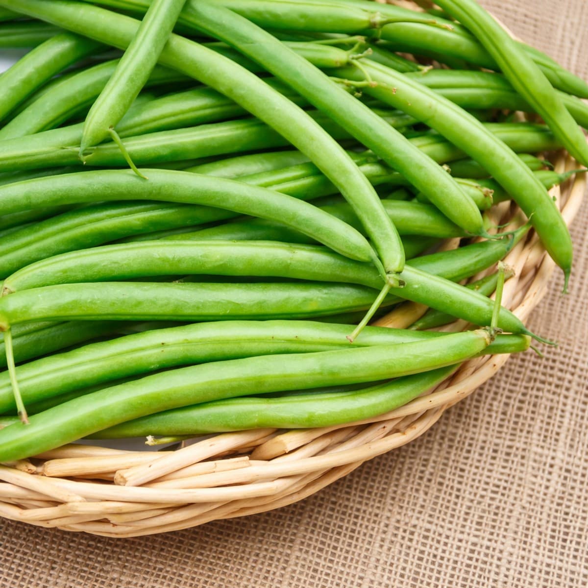 Astuces pour bien conserver ses haricots verts.