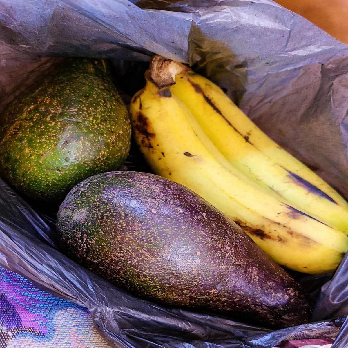 Astuces pour faire mûrir rapidement un avocat