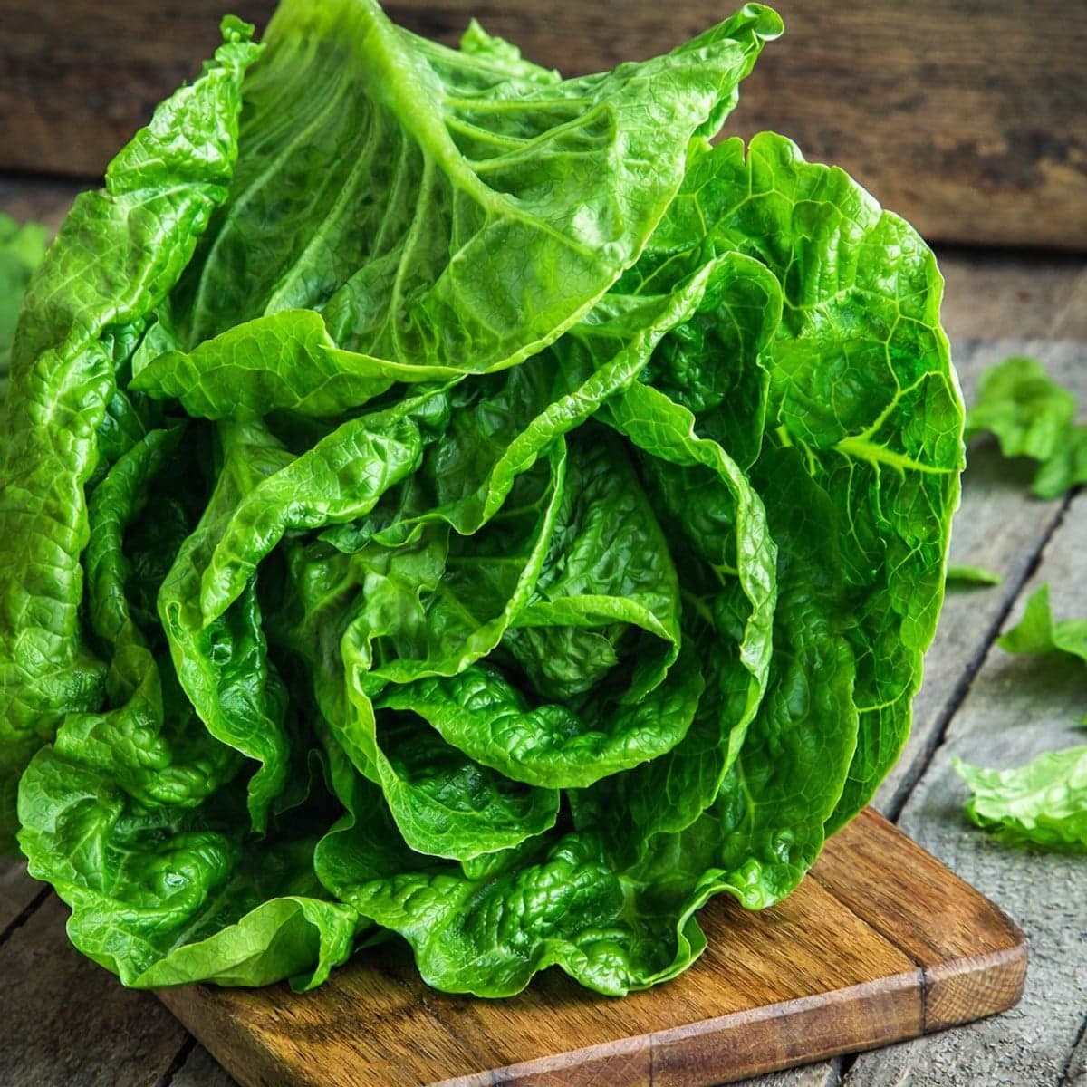 Comment conserver la salade ?