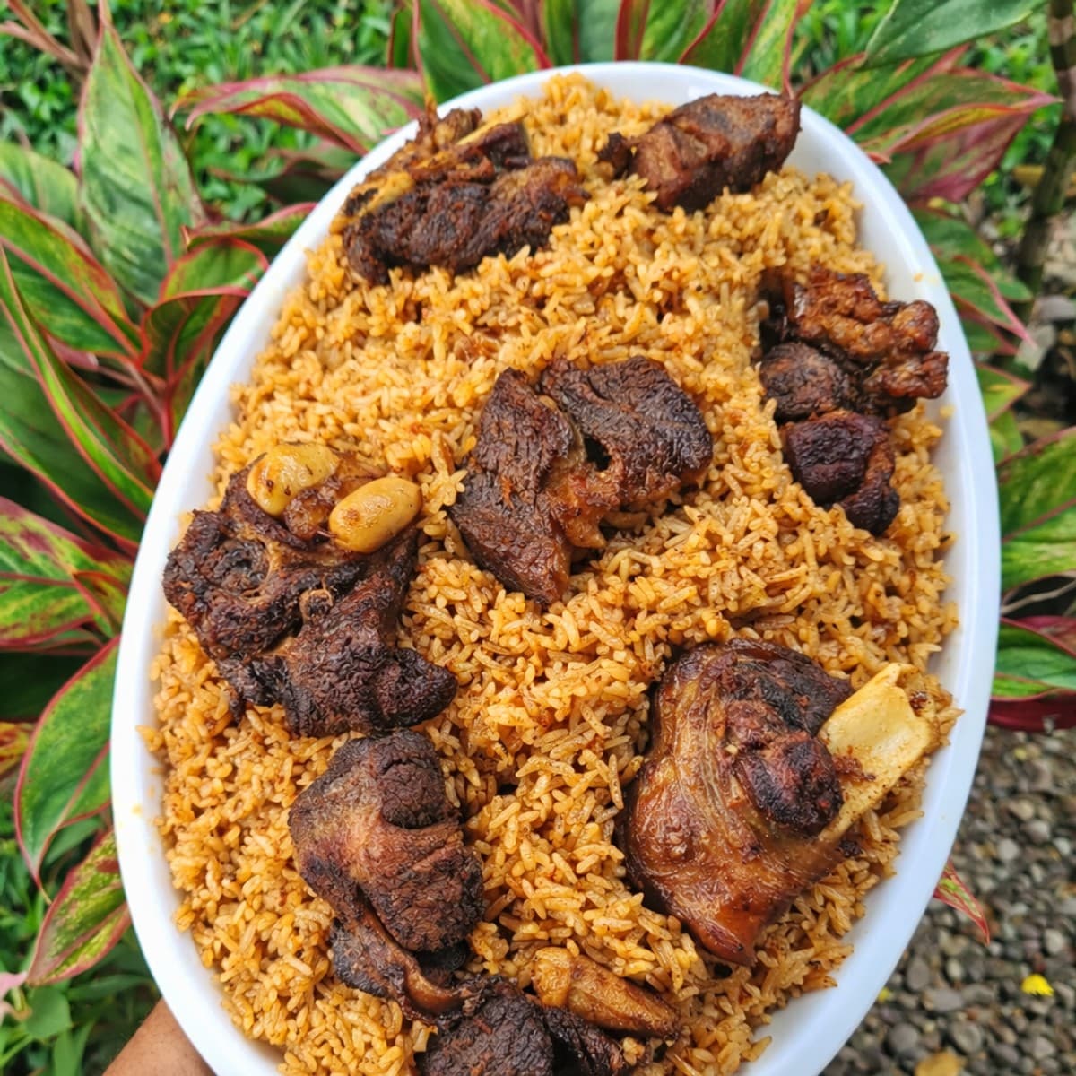 Du riz gras au mouton