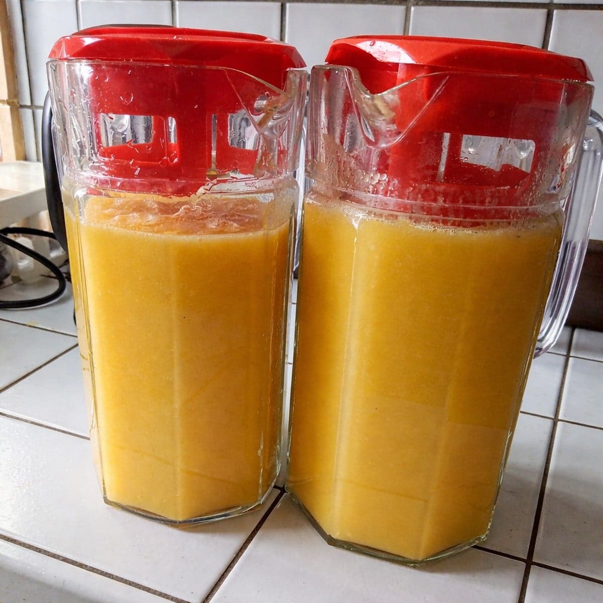 Ju naturel revivifiant sans sucre