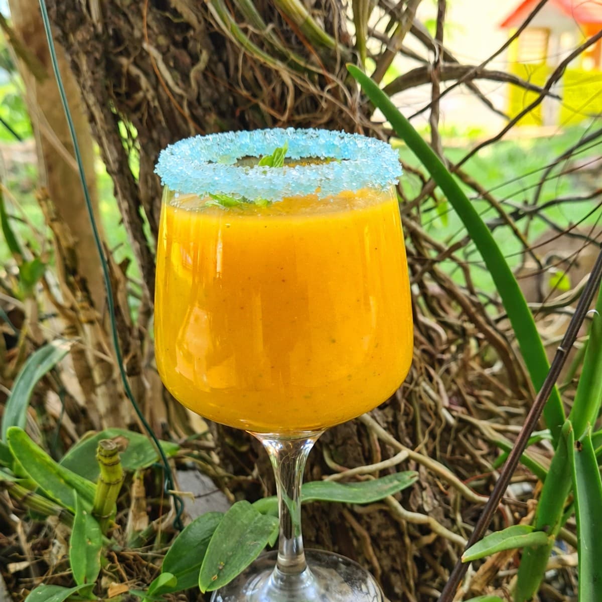 Jus de passion à la papaye.