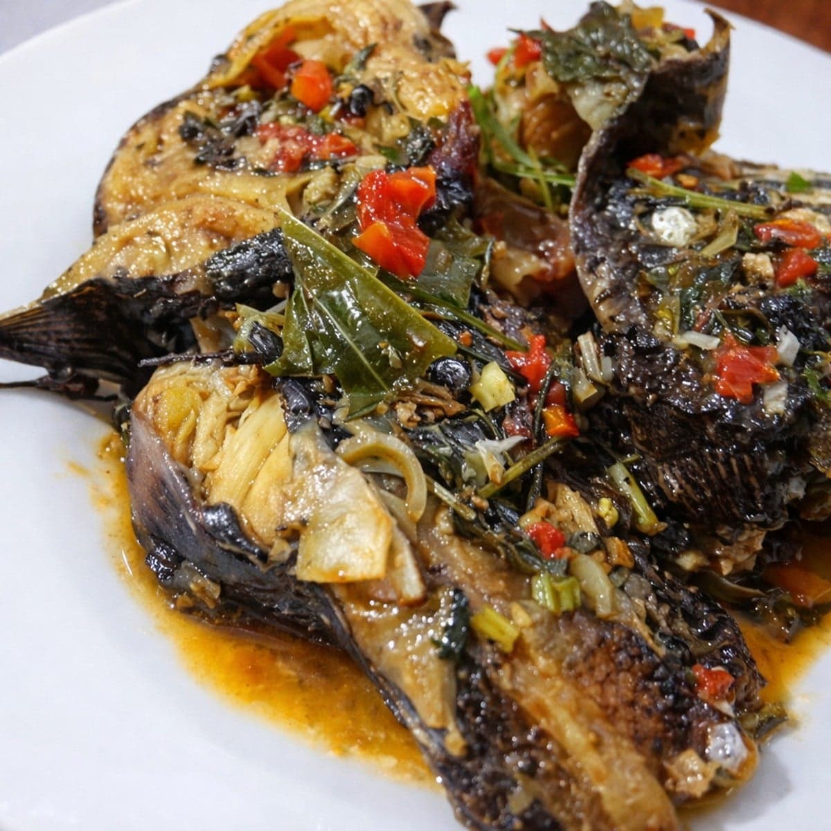 Ndomba de silure
