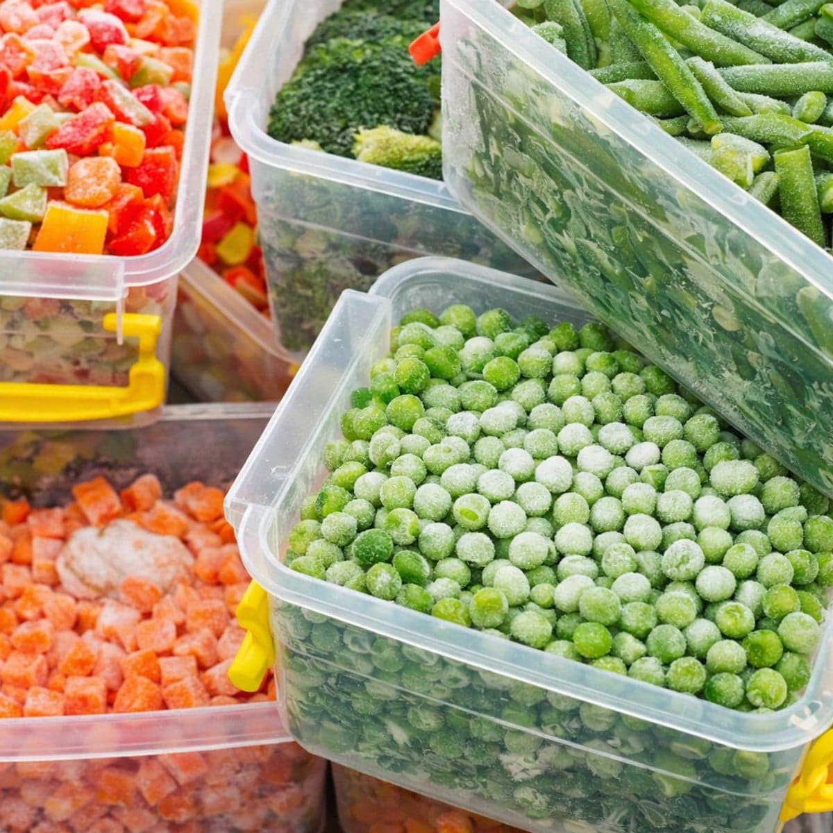 Aliments à ne jamais congeler : liste complète