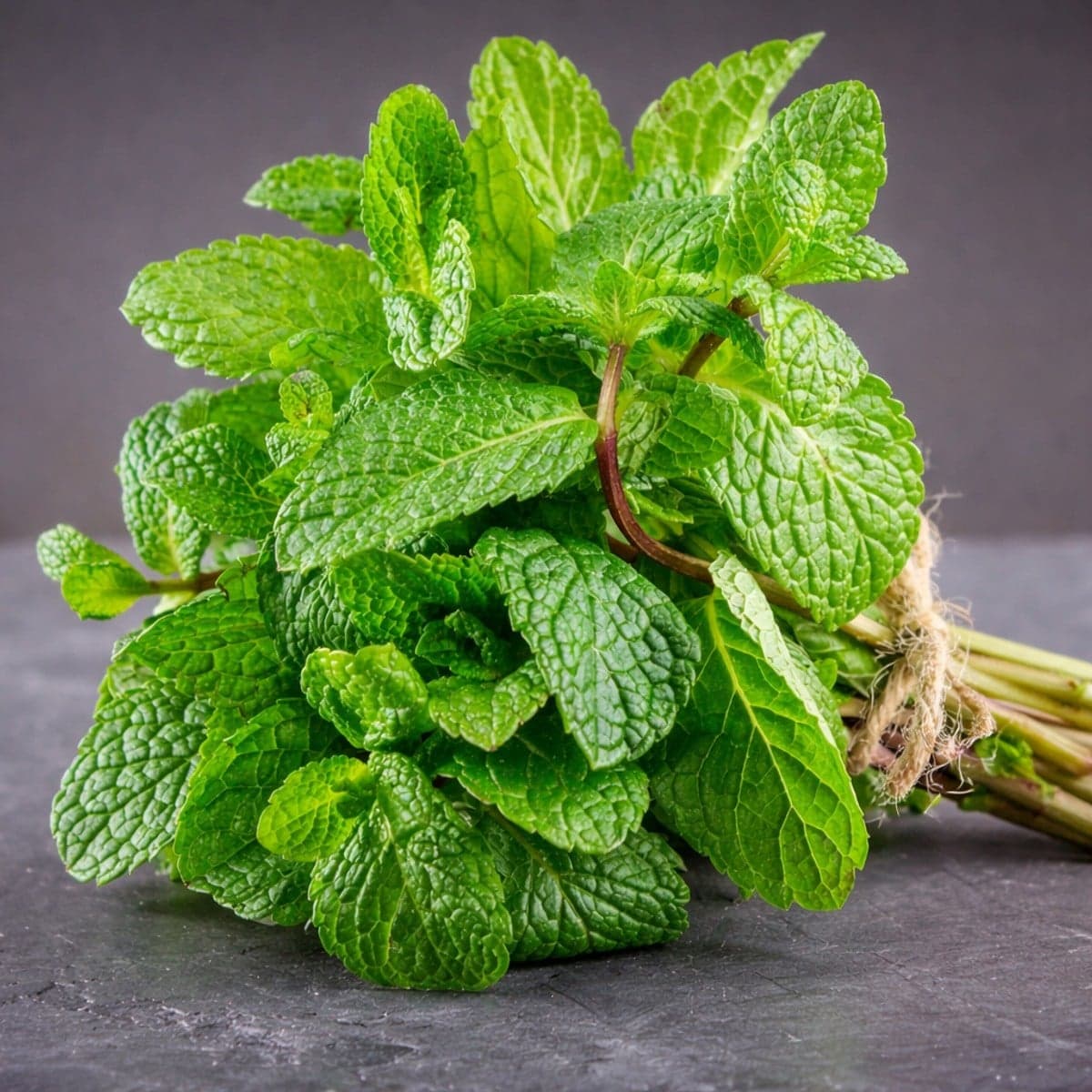Comment nettoyer la menthe pour s’assurer que toute la saleté soit enlevée