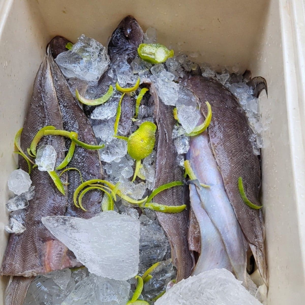 Conservation aliments frais aux zestes d’orange : astuce