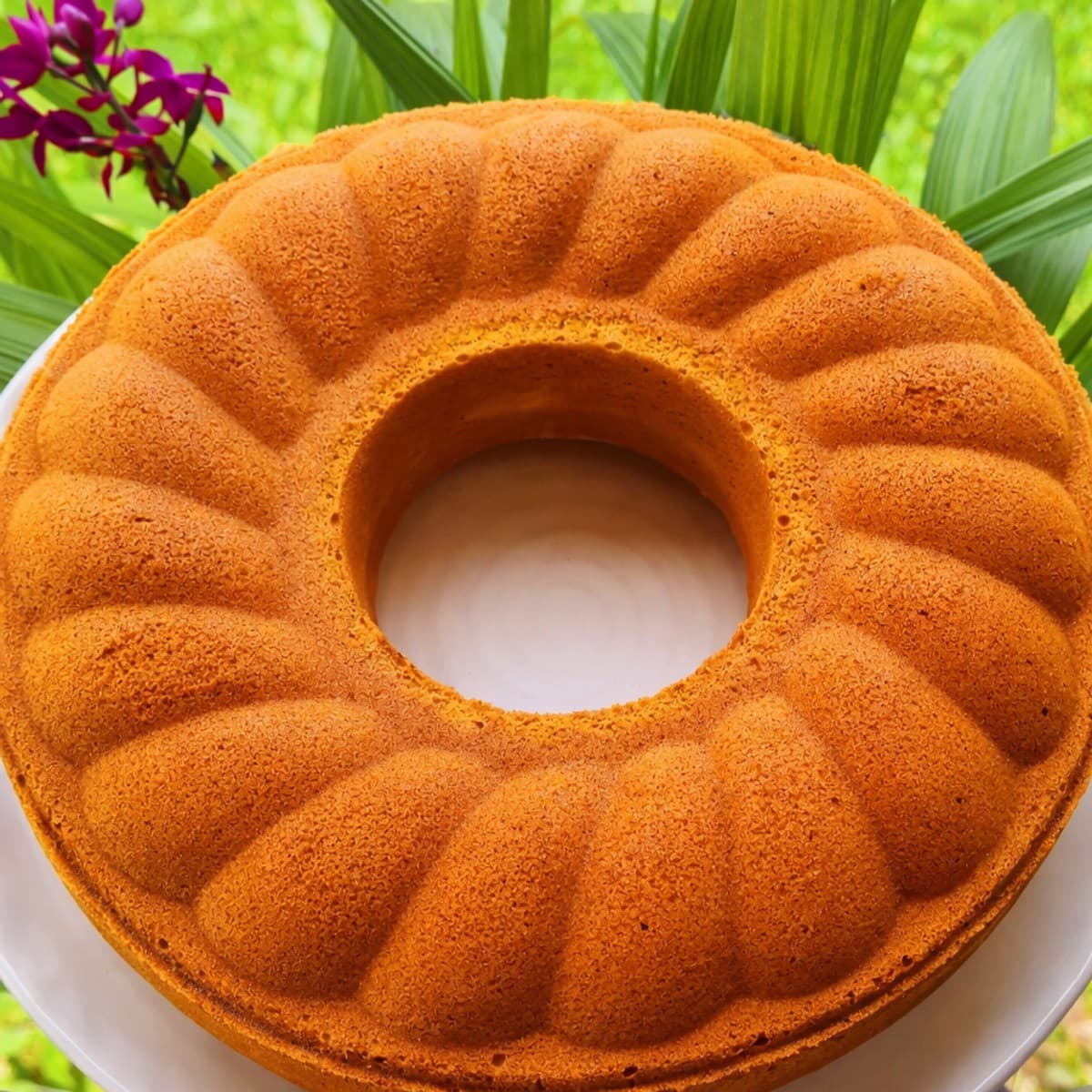 Gâteau au yaourt et vanille : recette moelleuse facile