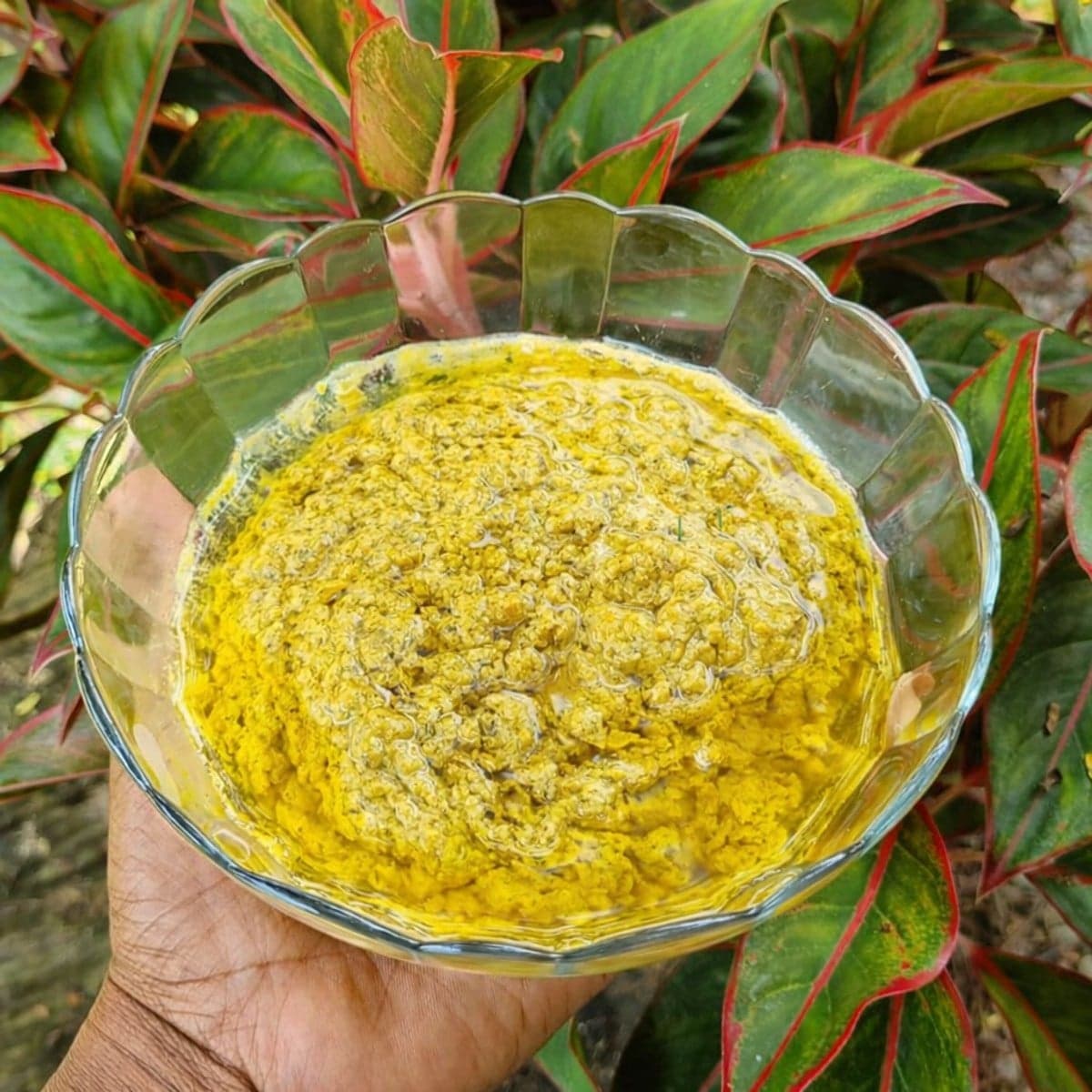 Marinade au yaourt pour viande : recette