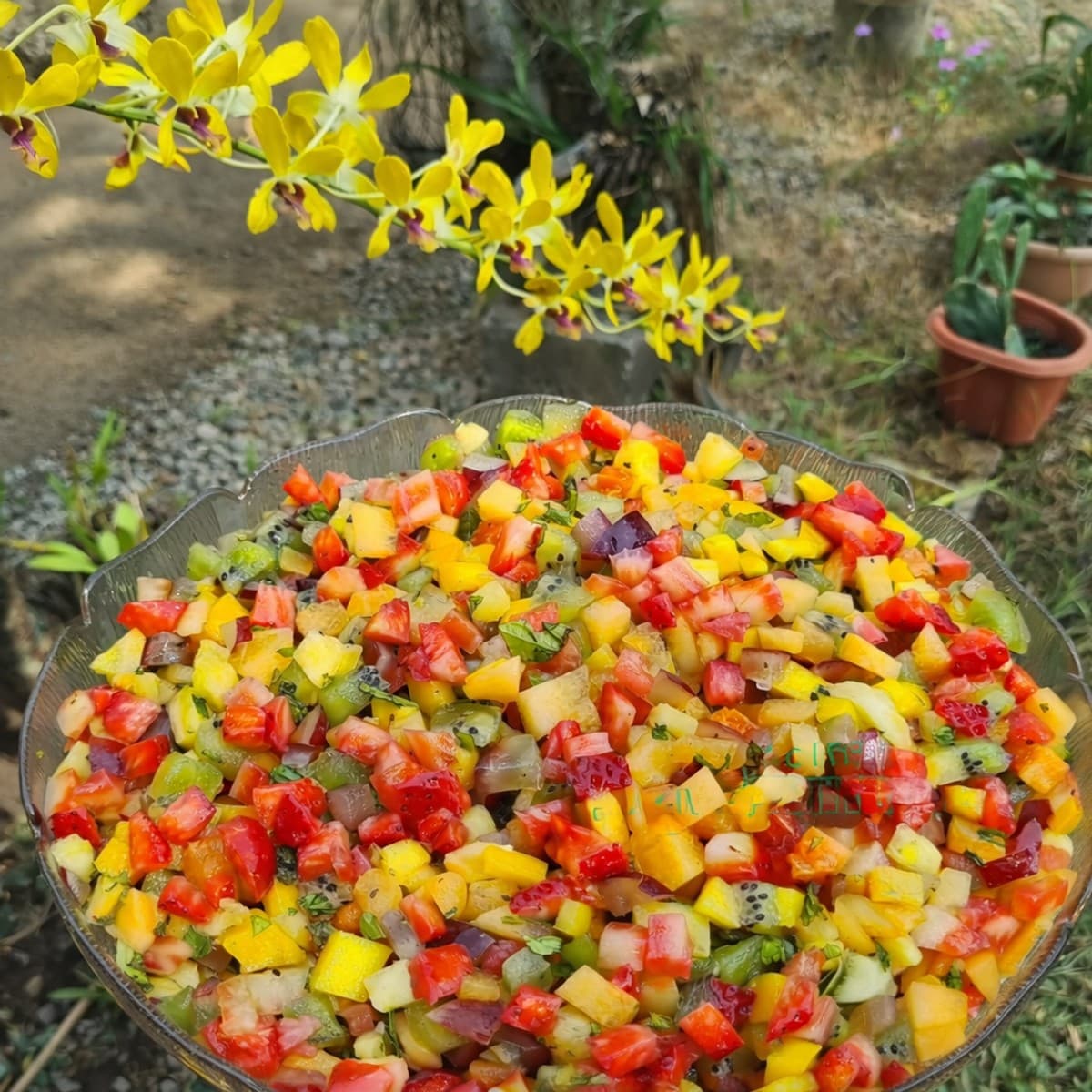 Salade de fruits