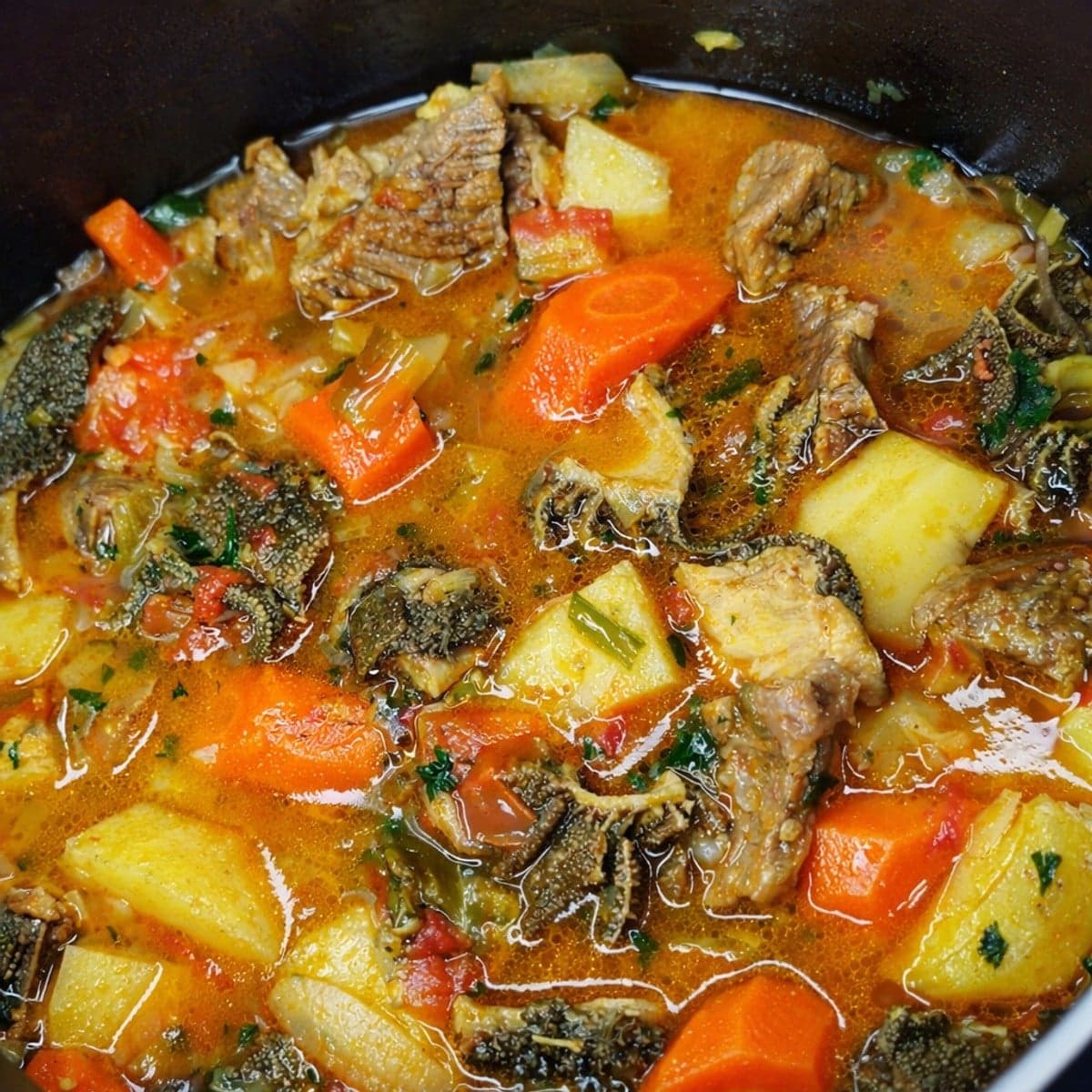 Bouillon de tripes et viandes de bœuf
