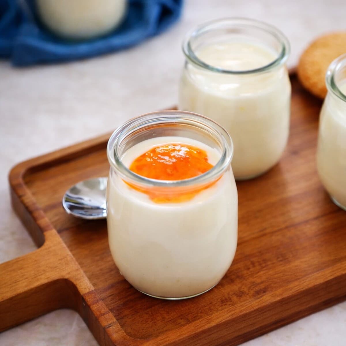 Comment faire du yaourt avec du lait en poudre