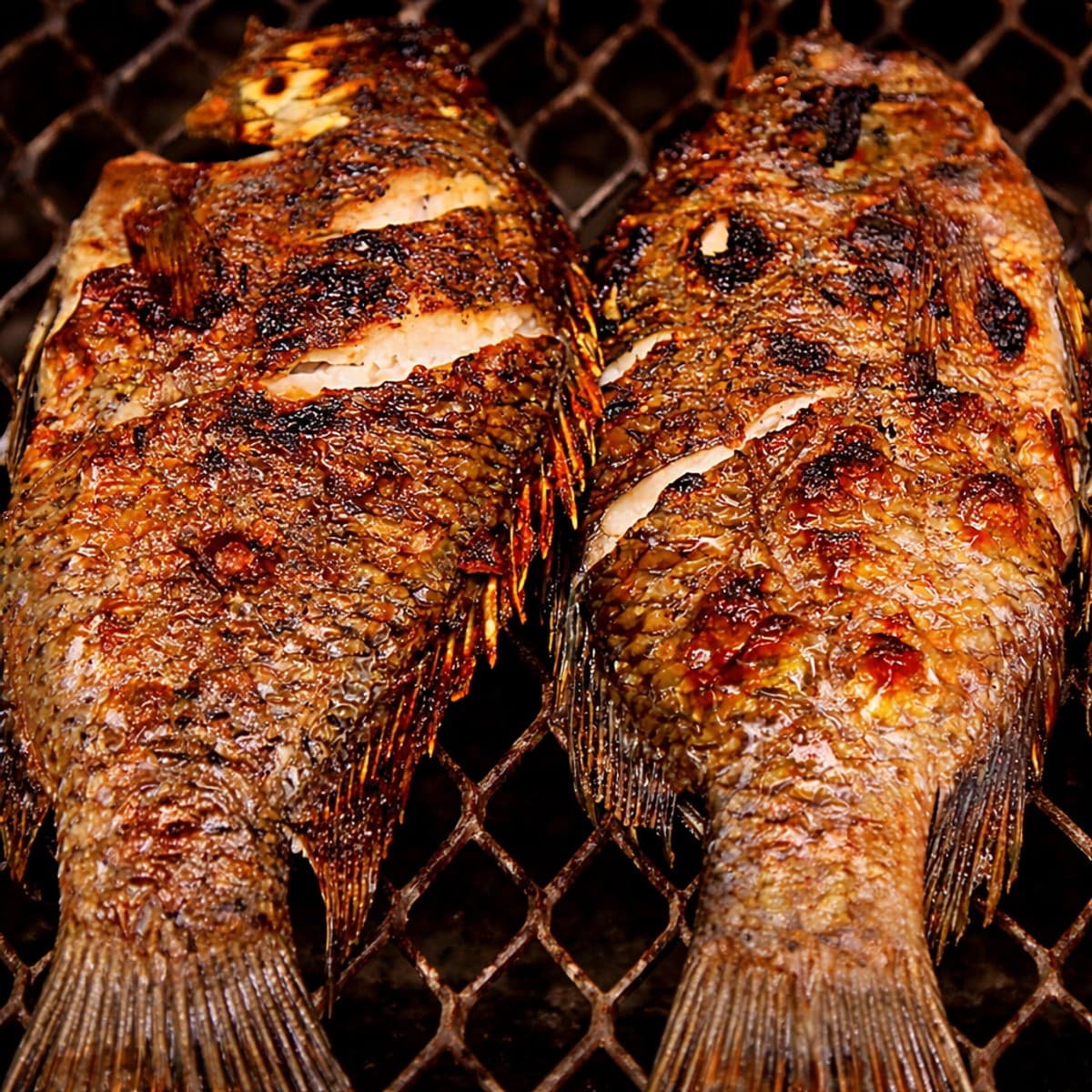 Comment réchauffer un poisson déjà cuit ?