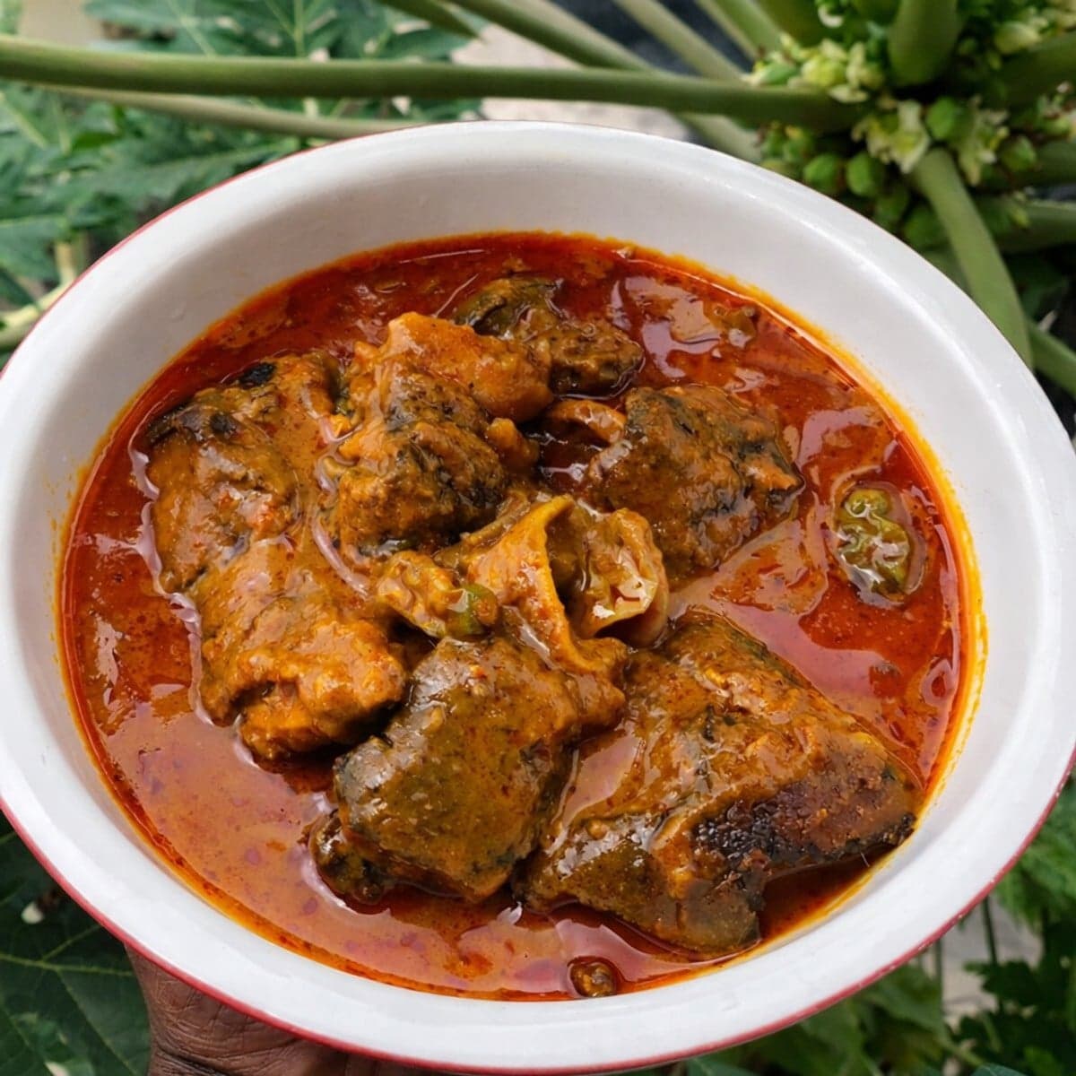 Sauce graine à la tête de bœuf